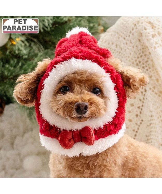 PET PARADISE ペットパラダイス サンタ 帽子 4S~3S/SS~S  2025 小型犬 レッド