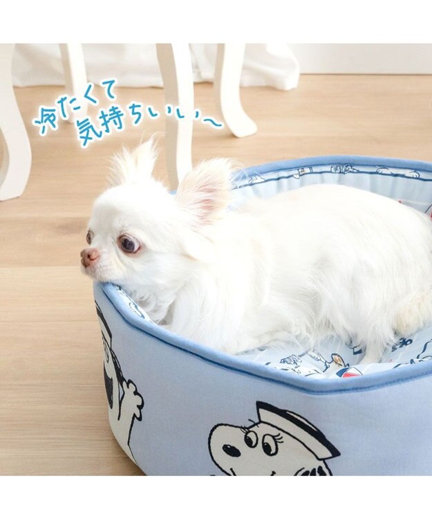 PET PARADISE スヌーピー クールカップ 《ブラザーズ》 Ｓ ライトブルー