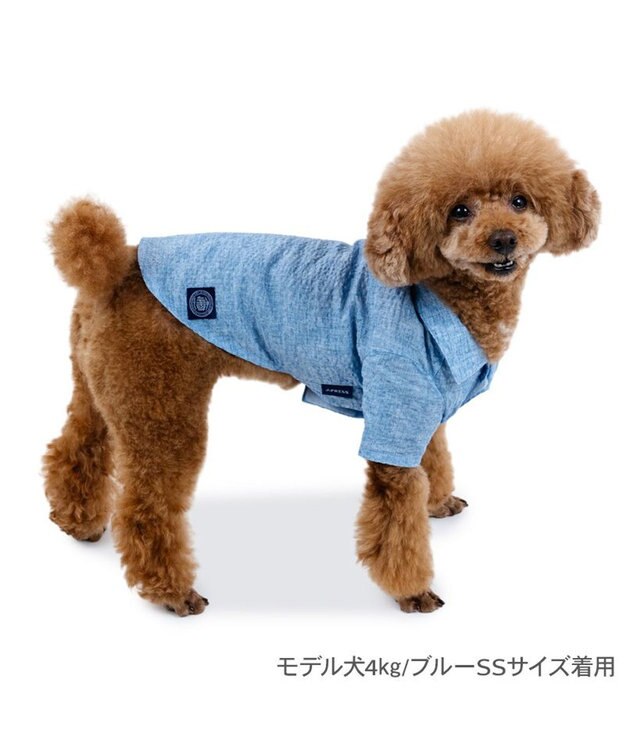 PET PARADISE J.PRESS 杢 ウェーブシャツ 《水色》 小型犬 ライトブルー
