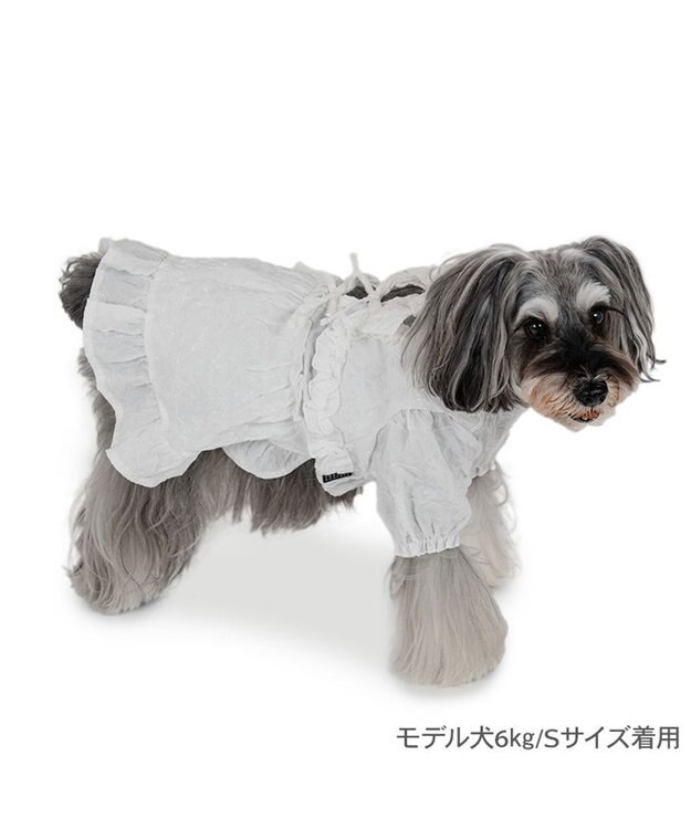 PET PARADISE cherircouture フリルリボン ワンピース 《ホワイト》 小型犬 ホワイト