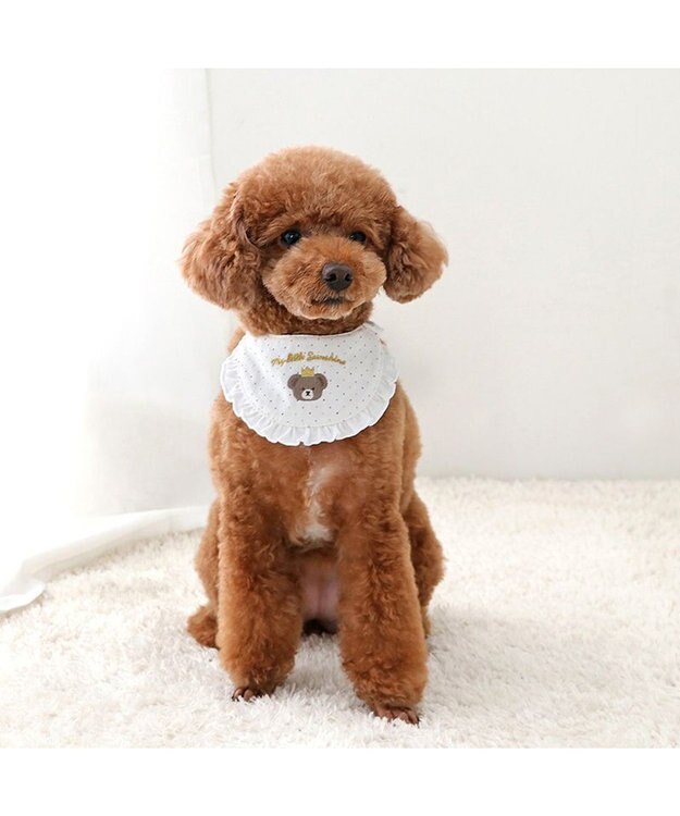 ペットパラダイス くまちゃんスタイ 《王冠 》 小型犬 / PET