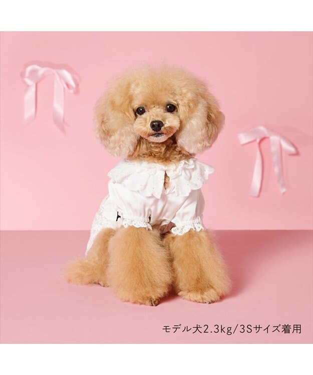 PET PARADISE cherircouture レースフリル ワンピース 小型犬 ホワイト