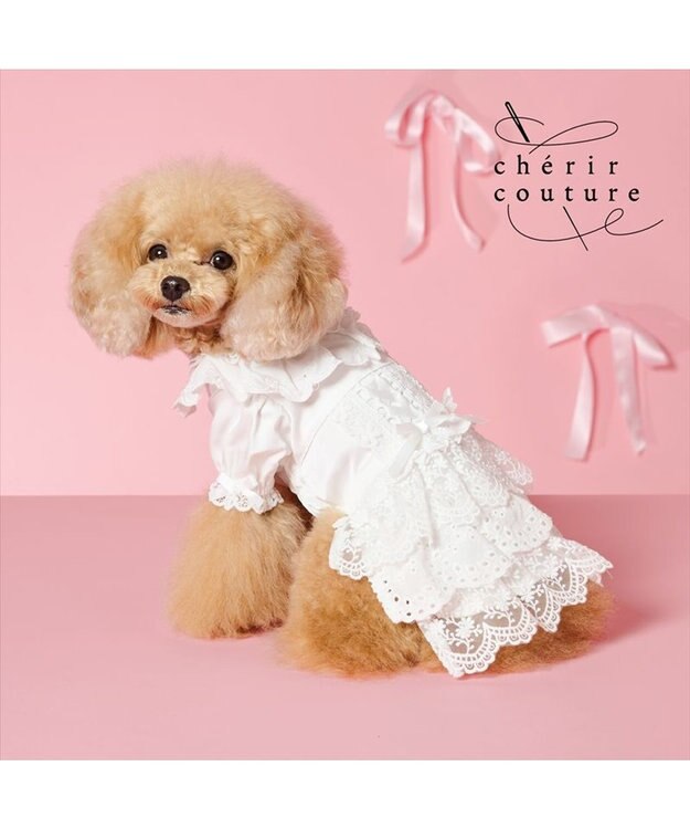PET PARADISE cherircouture レースフリル ワンピース 小型犬 ホワイト