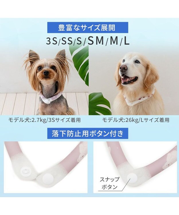 PET PARADISE ペットパラダイス 28℃クールリング  《くま》 ＳＭ 中型犬 くま柄