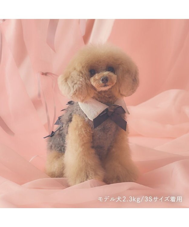 PET PARADISE cherircouture メニーリボンファーベスト 《グレー》 小型犬 グレー