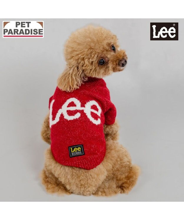 PET PARADISE Lee モヘア ロゴニット 《レッド》 小型犬 レッド