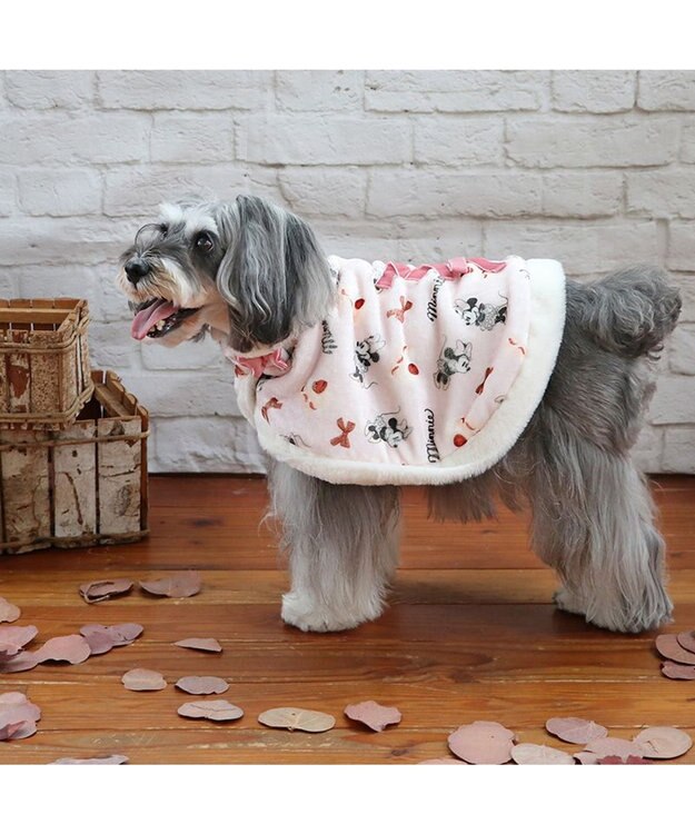 PET PARADISE ディズニー ミニー ポンチョ 《ケーキ柄》 小型犬 ピンク