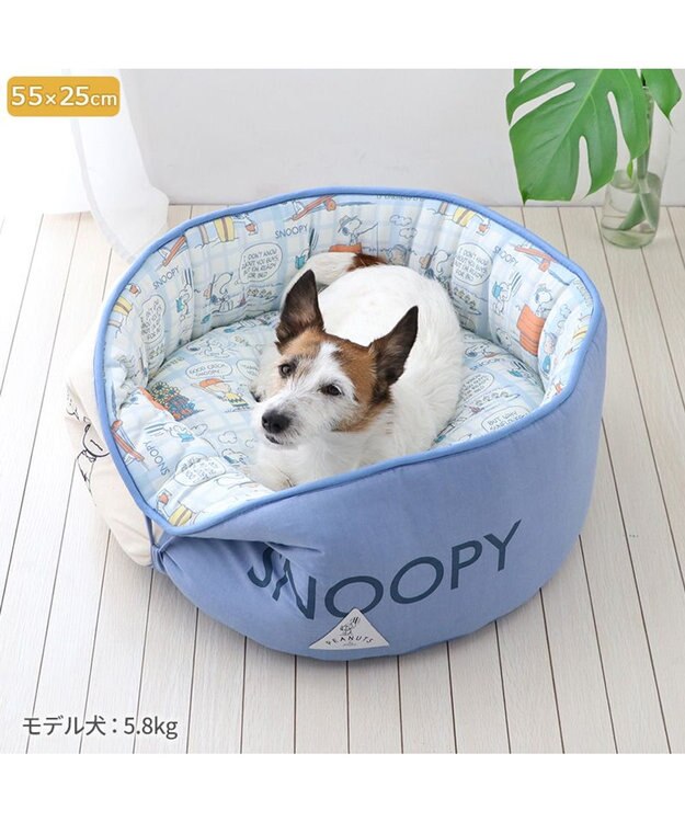 PET PARADISE スヌーピー クール カドラー カップ型 《サマータイム柄》 小型犬 サマータイム柄
