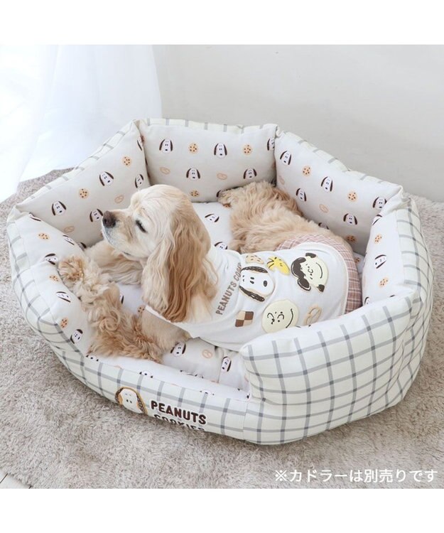 PET PARADISE スヌーピー トレーナー アイシングクッキー 《ホワイト》 小型犬 ホワイト