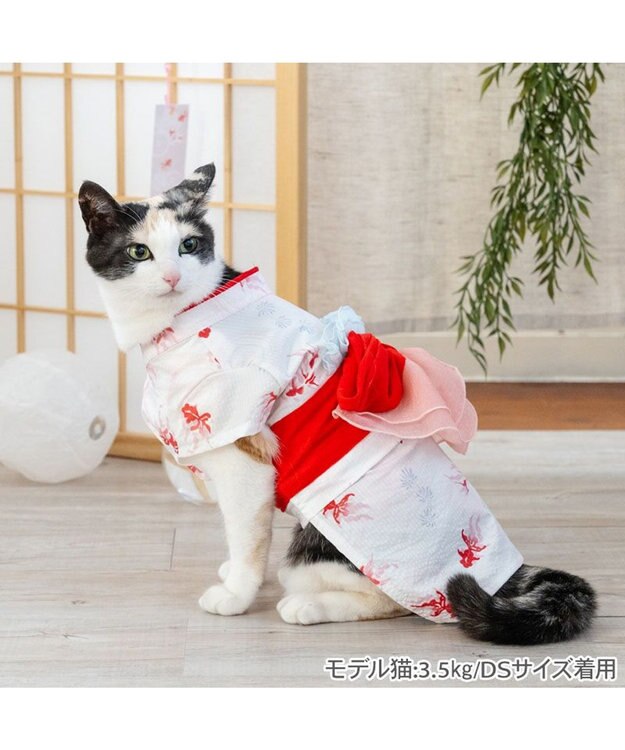 ペットパラダイス 浴衣 《遊泳金魚》 小型犬 / PET PARADISE
