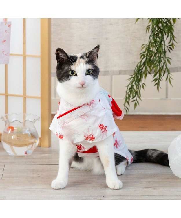 半幅帯☆浴衣帯☆新品未使用☆猫ちゃん 半幅帯 浴衣帯 ネコ柄 未使用 - メルカリ