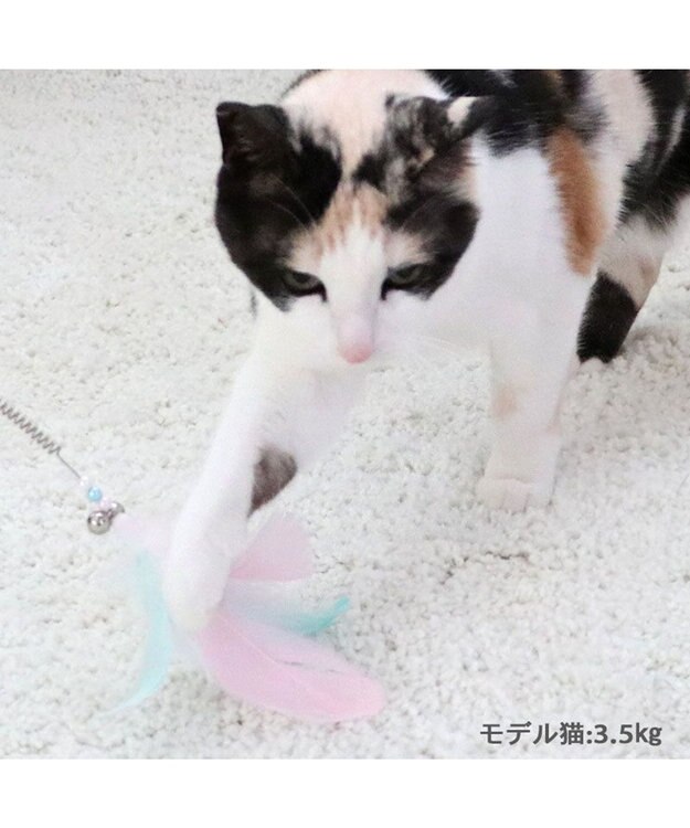 PET PARADISE ペットパラダイス 猫じゃらし 《羽根》 羽根
