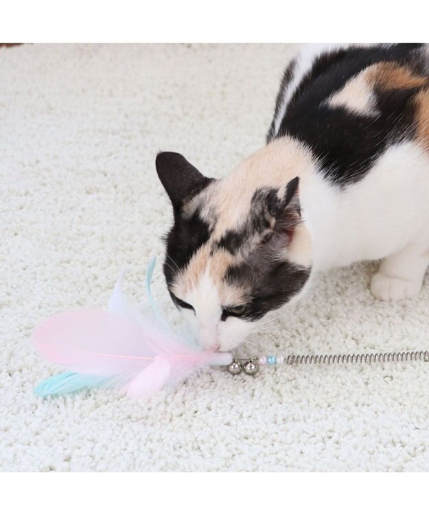 PET PARADISE ペットパラダイス 猫じゃらし 《羽根》 羽根