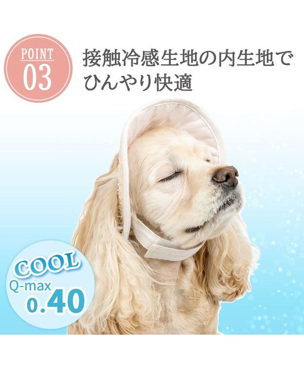 PET PARADISE ペットパラダイス レース クール ハット ＳＭ～Ｍ/Ｌ 中型犬 大型犬 ベージュ