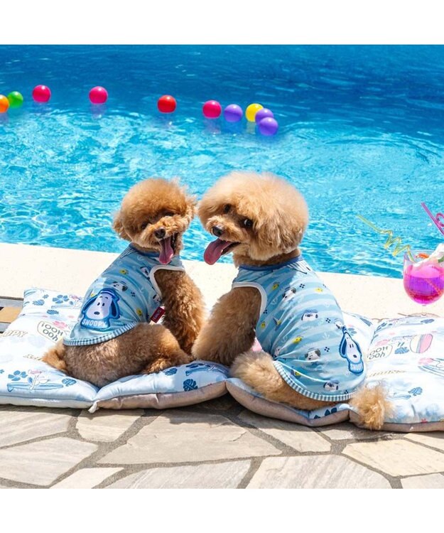 PET PARADISE スヌーピー タッチワンクール プラス タンクトップ 《マリン》 小型犬 ライトブルー