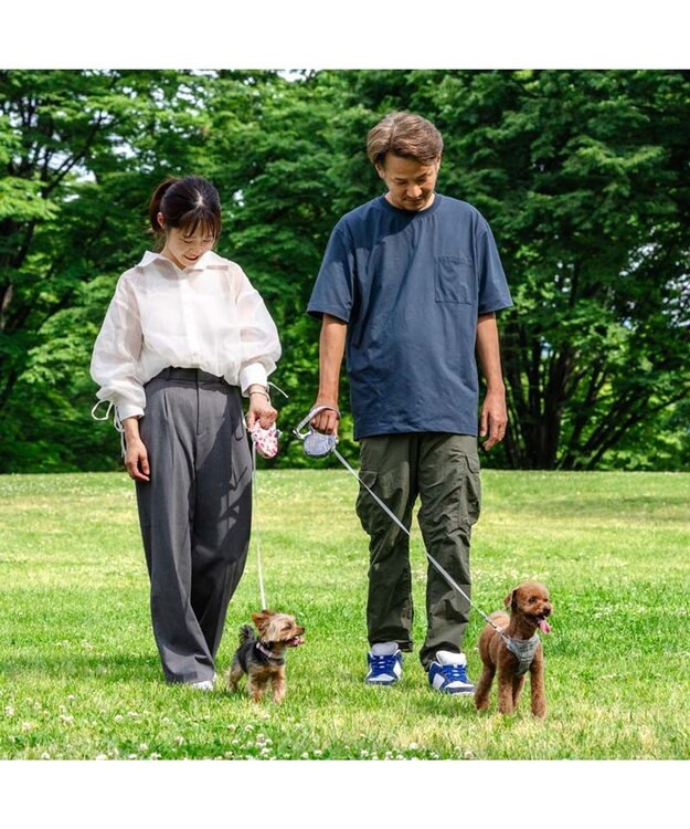 PET PARADISE ペットパラダイス 伸縮リード 《いちご柄 / ロゴ柄 》【小型犬】軽量 ロック式 ロゴ柄