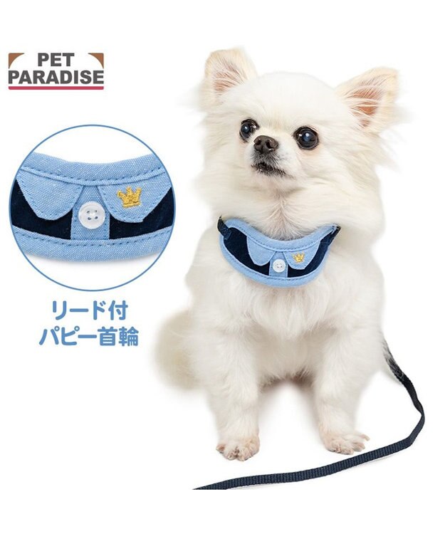 PET PARADISE ペットパラダイス リード付き首輪 《シャツ》 小型犬 ネイビー×ブルー