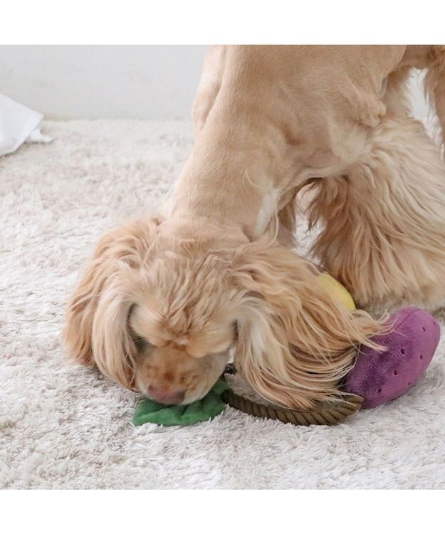 PET PARADISE ペットパラダイス やきいも ロープトイ 紫