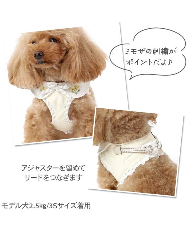 PET PARADISE ペットパラダイス  ベストハーネス ミモザ【４Ｓ】 【３Ｓ】  超小型犬 小型犬 ベージュ