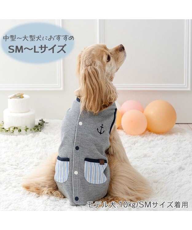 PET PARADISE ペットパラダイス  やさしいベスト 《錨 刺繍》 背中開き 中型犬 大型犬 グレー×ブルー