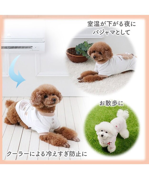 PET PARADISE ミニオン ティム サーモキープ 顔ぼんTシャツ   小型犬 ブラウン