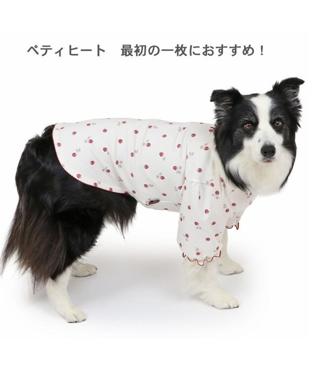 PET PARADISE ペットパラダイス ペティヒート Tシャツ 《苺柄》 中型犬 大型犬 苺柄