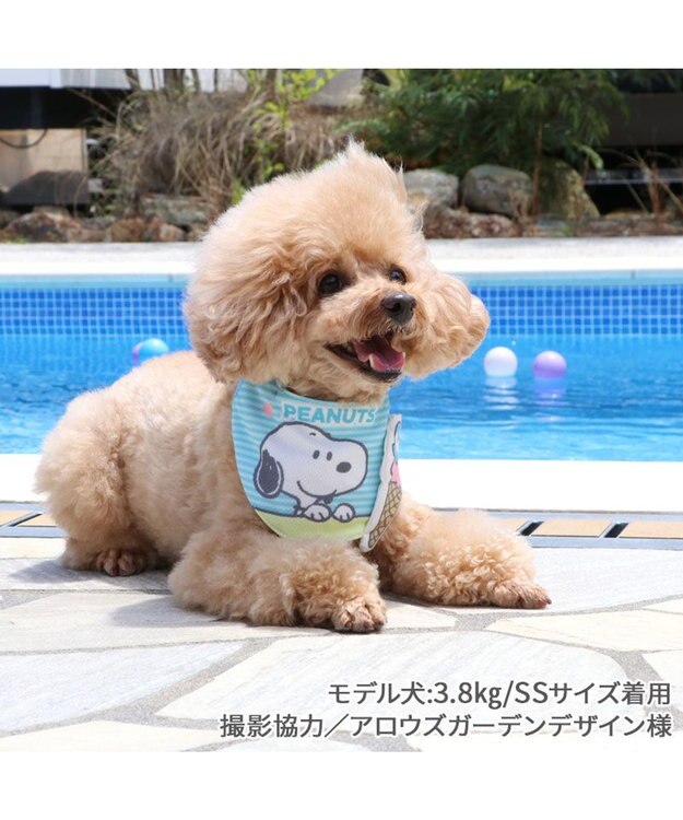 PET PARADISE スヌーピー クール バンダナ 《アイス柄》 小型犬 アイス柄