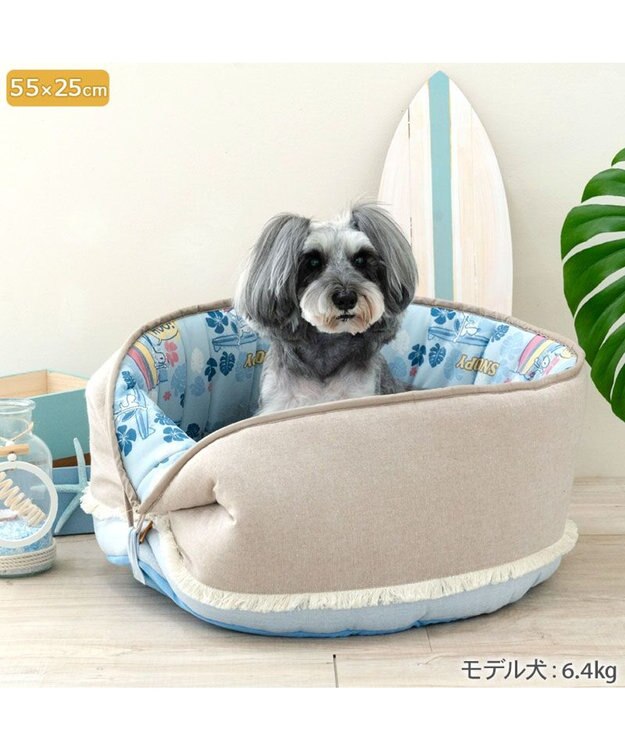 PET PARADISE スヌーピー クールカップ 《サーフ柄》 M ブルー×ベージュ