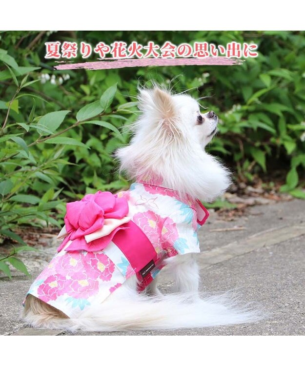 犬の服 夏 犬服 浴衣 牡丹柄 ピンク 【小型犬】 / PET PARADISE