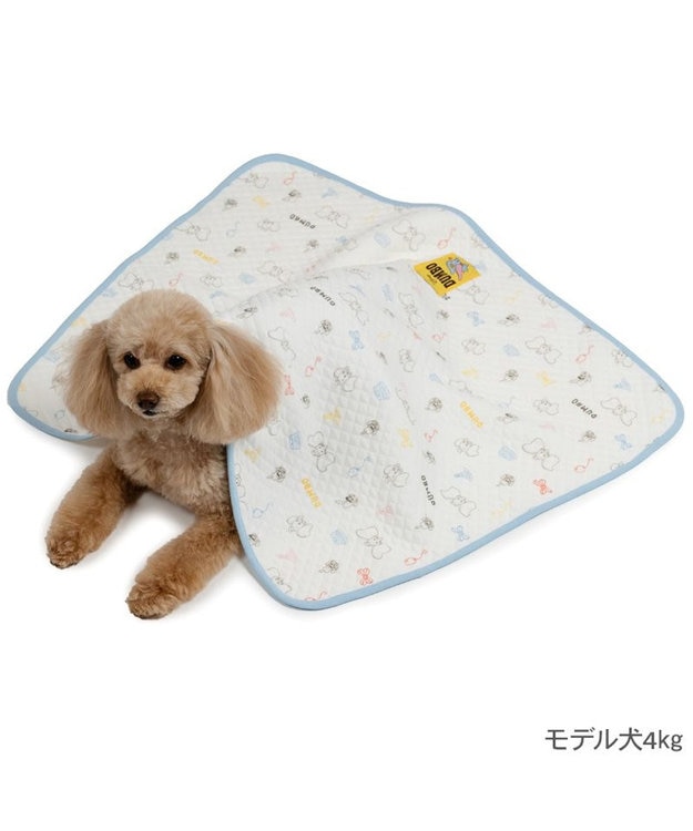 PET PARADISE ディズニー ダンボ キルトブランケット ホワイト