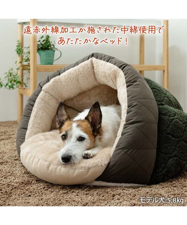 PET PARADISE ペットパラダイス 遠赤外線 ドーム型 寝袋 《オニオン柄》 小型犬 カーキ
