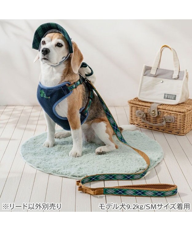PET PARADISE ペットパラダイス チェック柄 リード ＳＭ 中型犬 グリーン
