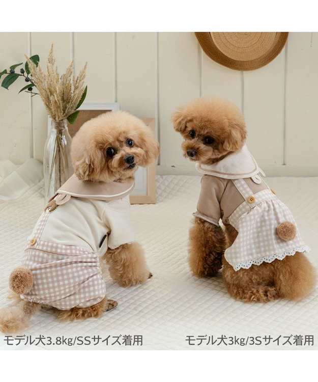 ペットパラダイス くまちゃん ワンピース 小型犬 / PET PARADISE