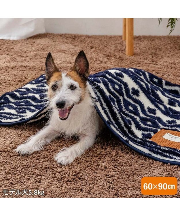 PET PARADISE ペットパラダイス ブランケット 《カントリー柄》 ホワイト×ネイビー