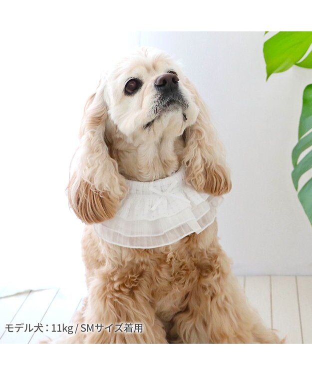 PET PARADISE ペットパラダイス クールバンダナ 《フリル》 中型犬 フリル