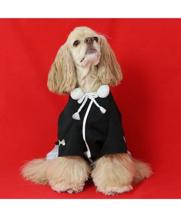 PET PARADISE ペットパラダイス 金糸紋付き袴 中型犬 大型犬 黒