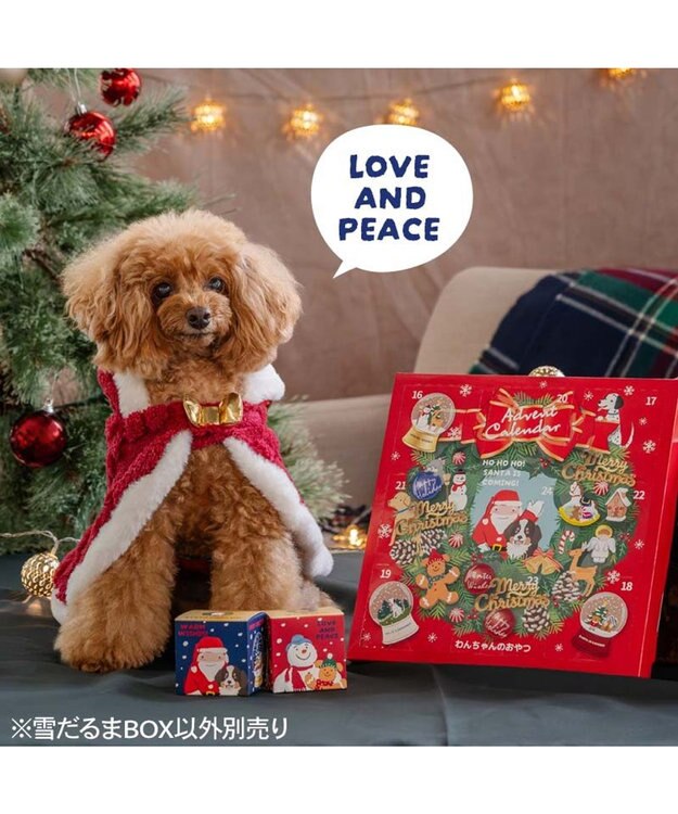 PET PARADISE クリスマス 雪だるまＢＯＸ 鶏ミンチビスケット 0
