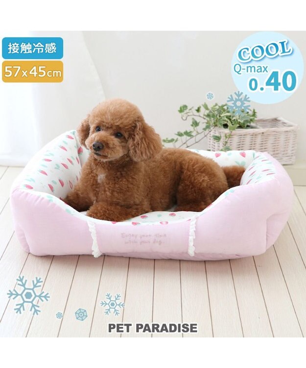 PET PARADISE ペットパラダイス クールカドラー 角型《いちご＆お花柄》 小型犬 いちご＆お花柄