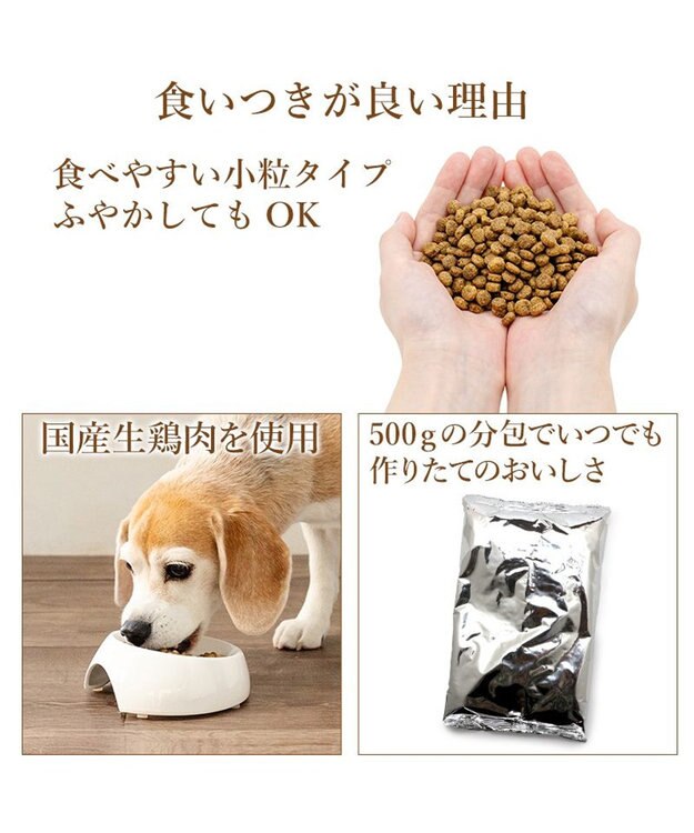 PET PARADISE ビオキッチン エイジングネオ ５００ｇ 0
