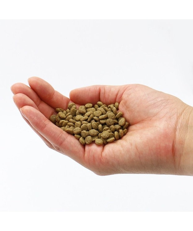 PET PARADISE ペットパラダイス 国産 ドッグフード ビオキッチン 1kg -