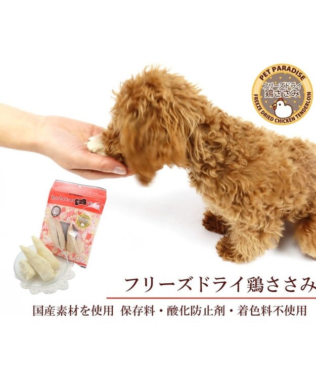 PET PARADISE 鶏ささみフリーズドライ 大袋 55g 国産 -