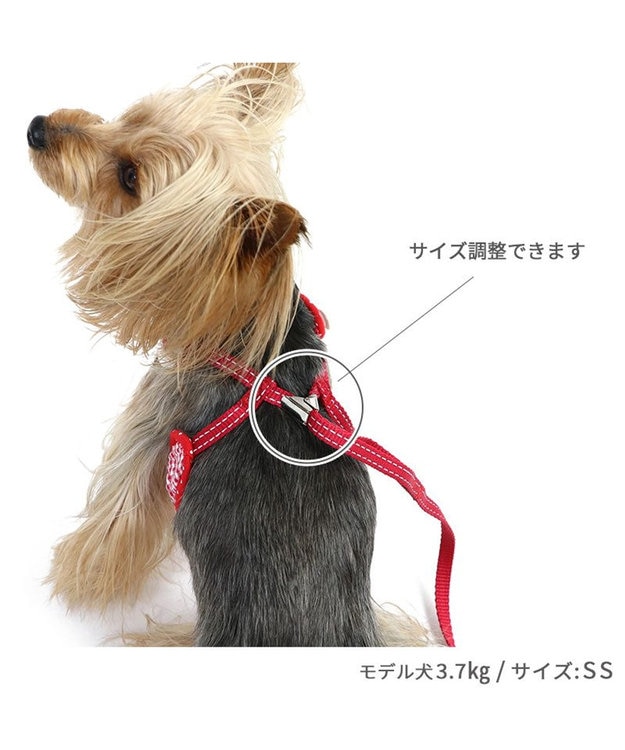 PET PARADISE ペットパラダイス ハーネス＆リード  スカラップカラー《いちご柄 》 ＳＳ 小型犬 いちご柄