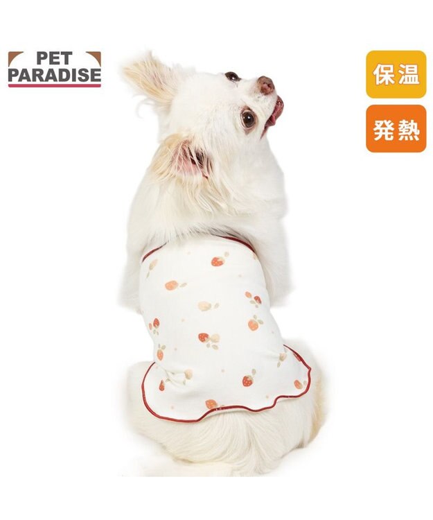 PET PARADISE ペットパラダイス ペティヒート 天竺 腹巻 《いちご柄》 小型犬 ホワイト