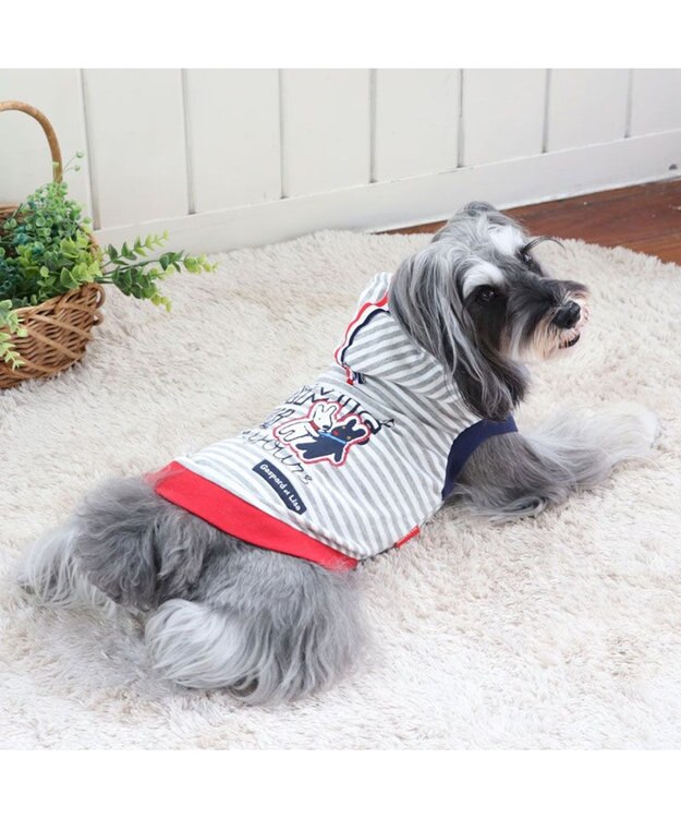 PET PARADISE リサとガスパール パーカー 《親友 ボーダー柄》【小型犬】 マルチカラー