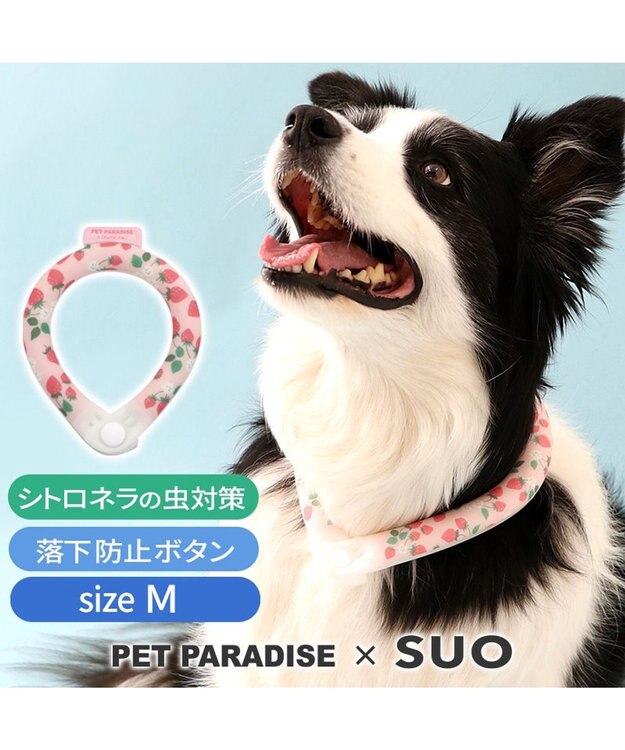 PET PARADISE ペットパラダイス 28℃クールリング SUO 《いちご柄》 〔Ｍ〕 中型犬 いちご