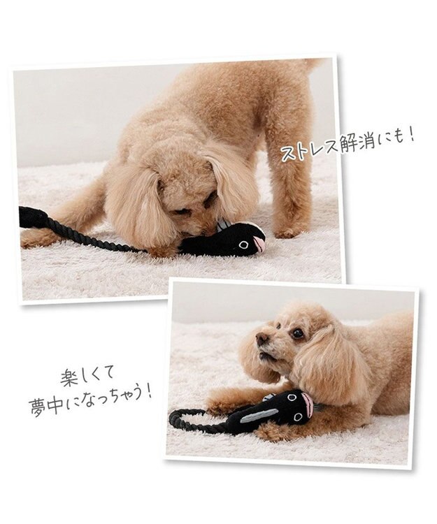 PET PARADISE  ペットパラダイス うなぎ ロープトイ《大》 -