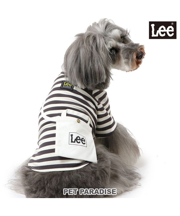 PET PARADISE Lee ショルダー ボーダー Tシャツ 小型犬 ボーダー