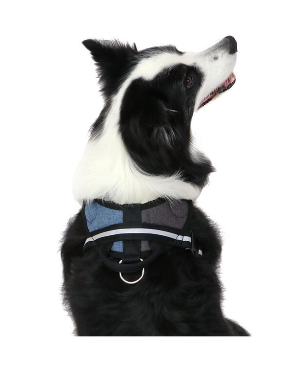 PET PARADISE ヘッドインハーネス  【Ｍ】オレンジ / ブルー 【中型犬 大型犬】 ブルー×ブラウン