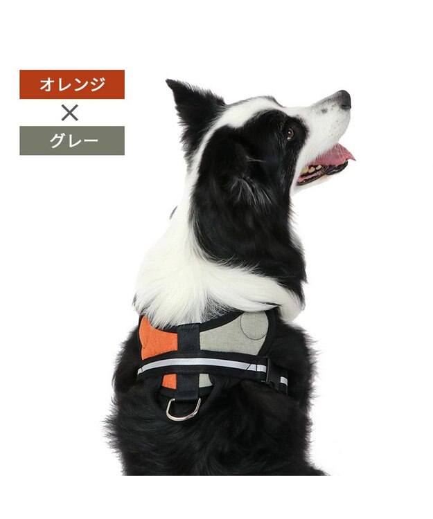 PET PARADISE ヘッドインハーネス  【Ｍ】オレンジ / ブルー 【中型犬 大型犬】 オレンジ×グレー