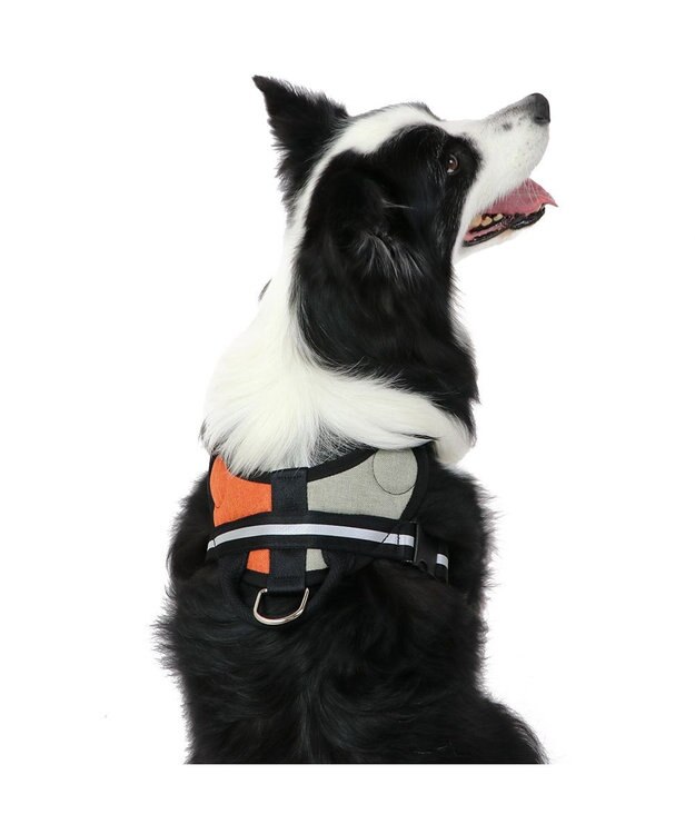 PET PARADISE ヘッドインハーネス  【Ｍ】オレンジ / ブルー 【中型犬 大型犬】 オレンジ×グレー